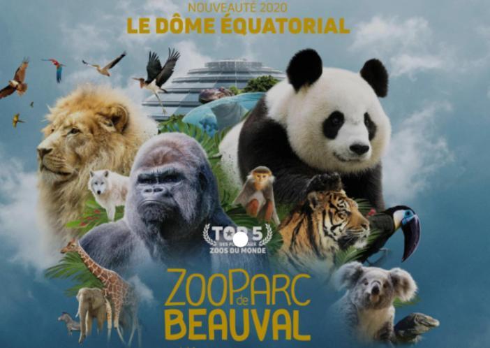 Chambre Jungle Dans Maison D'Hote "Le Petit Clouet"- Rochecorbon Bagian luar foto